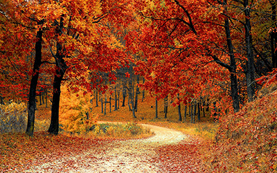 Equinox, Endings and Energy