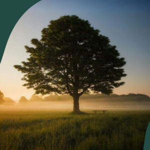 Reiki, Healing, anxiety relief and stress relief