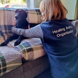 Animal Reiki practitioner