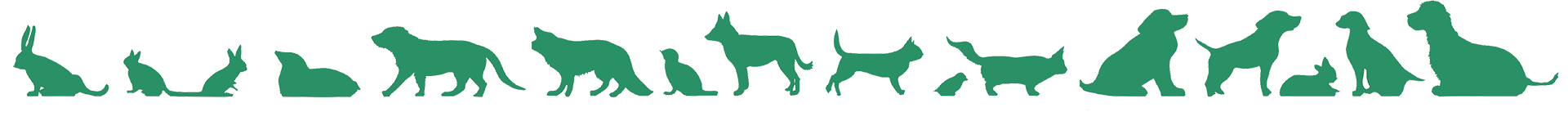Animal-line-up-green