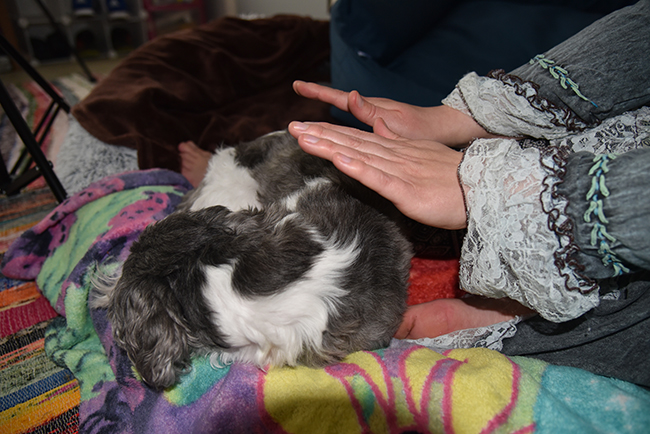 Liz-Clifton-Whinnie-Reiki