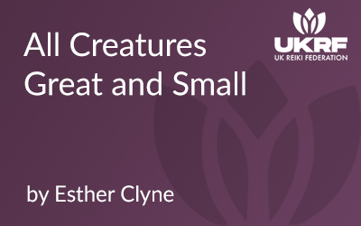 Reiki with All Creatures Great and Small