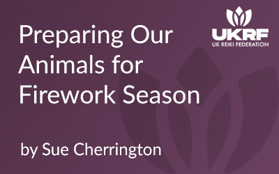 Preparing Our Animals for Firework Season